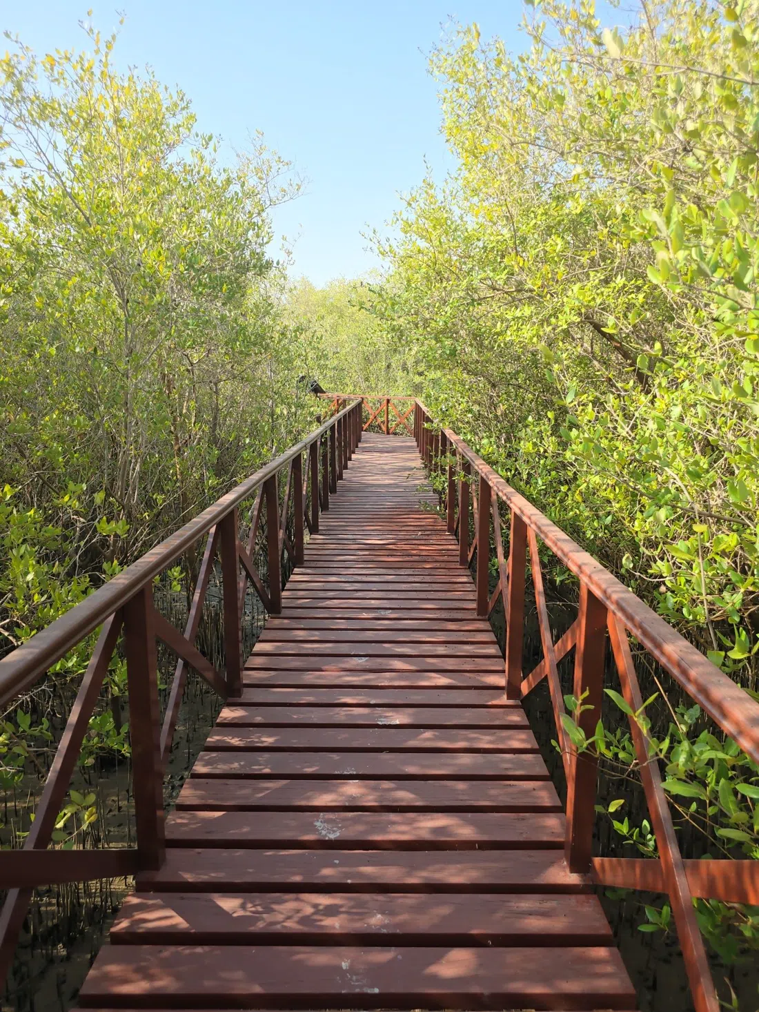 Riserva Naturale delle Isole Daymaniyat (permesso di ingresso dell'Autorità per l'Ambiente), Mascate