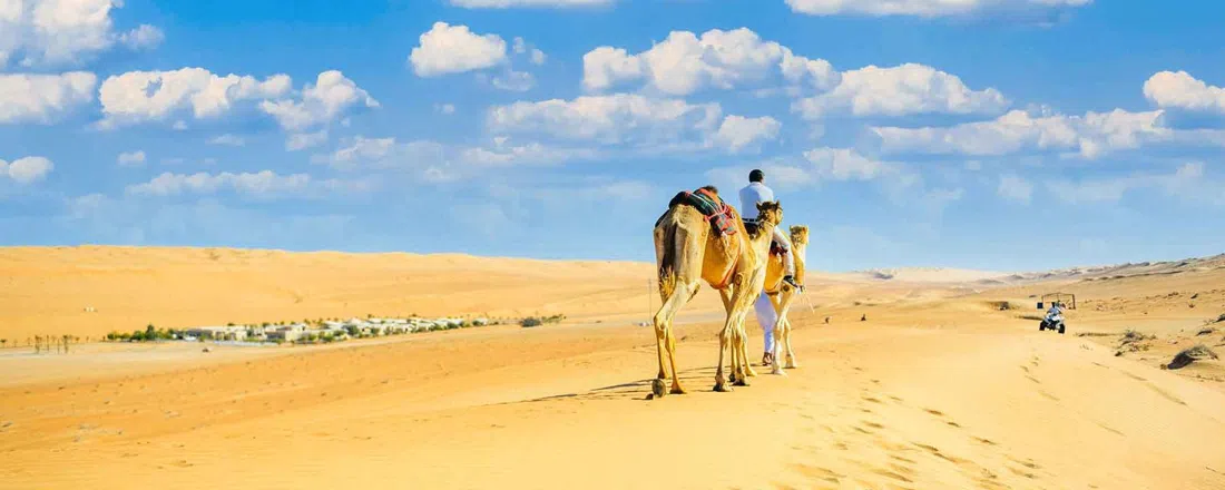 Zahara Tours, Muscat