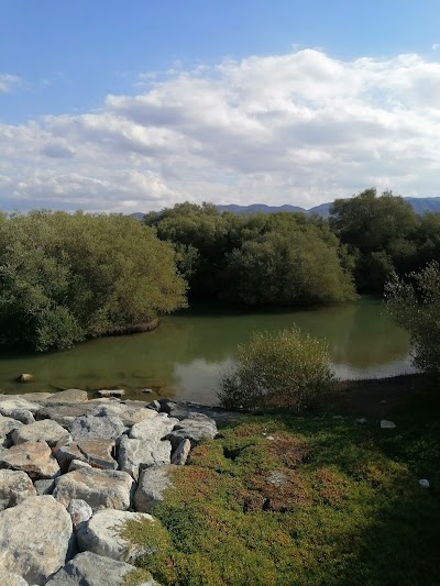 Al Qurum