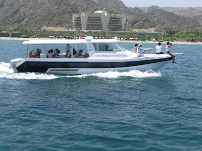 Dolphin Watching and Snorkeling