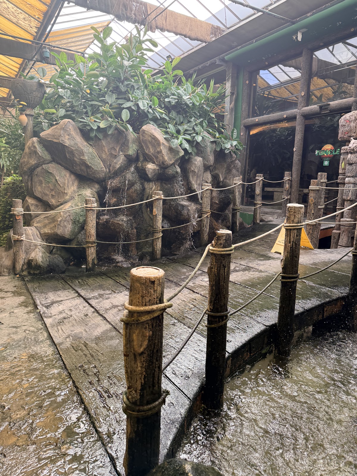 The Jungle — photo 6