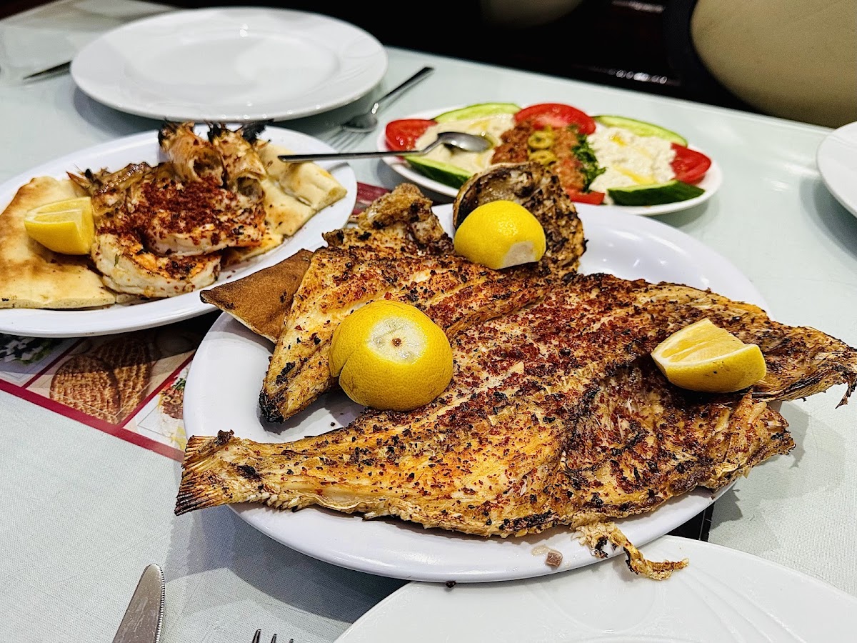 Turkish House Restaurant — photo 2