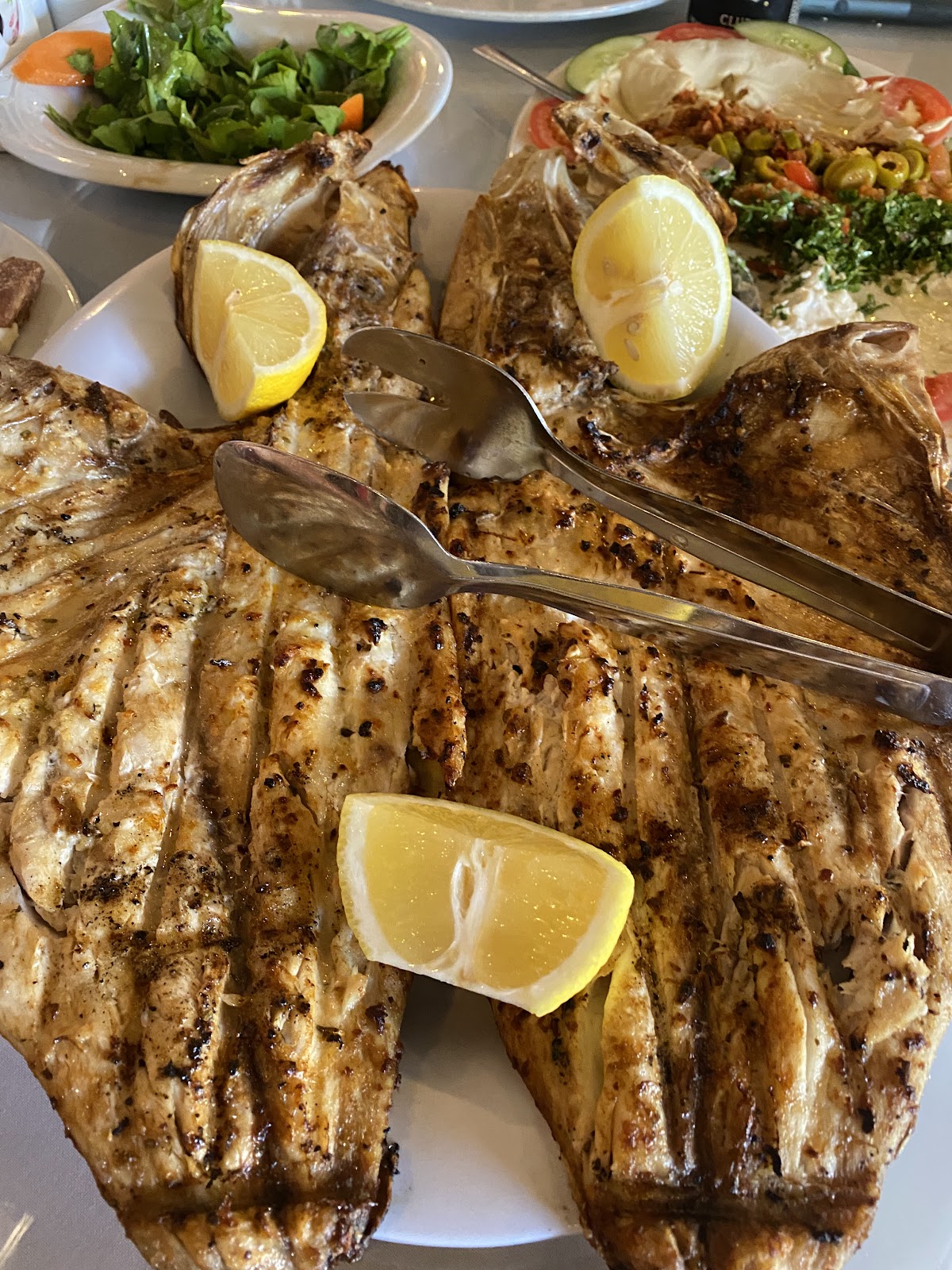 Turkish House Restaurant — photo 3
