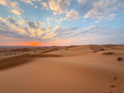 Wahiba Sands (Sharqiya Sands)